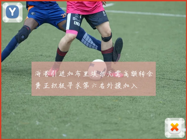 海港引进加布里埃尔无需高额转会费正积极寻求第六名外援加入