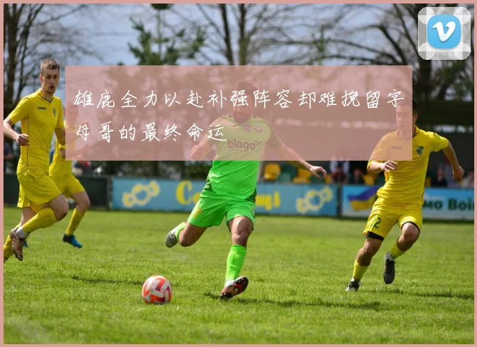 雄鹿全力以赴补强阵容却难挽留字母哥的最终命运